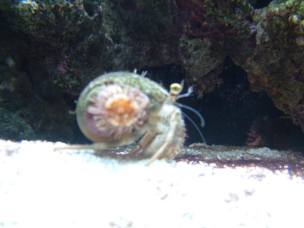 dscf0032.jpg