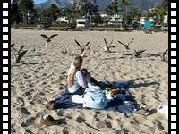 Feeding the seagulls