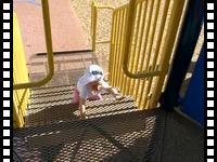 Up the stairs and down the slide