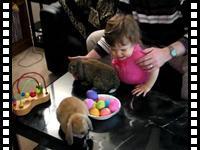 Easter eggs and bunnies