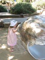 At the Fresno Zoo