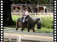 Riding a pony in Griffith Park